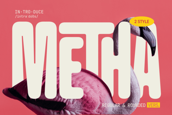 Metha: A Modern, Friendly Typeface for Every Project